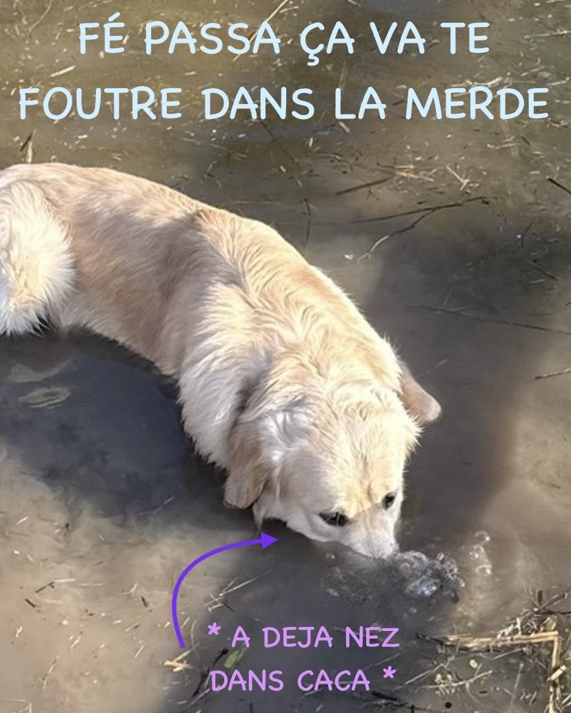 Zèbrexialie😵‍💫 (@jacksahv) on Twitter photo 