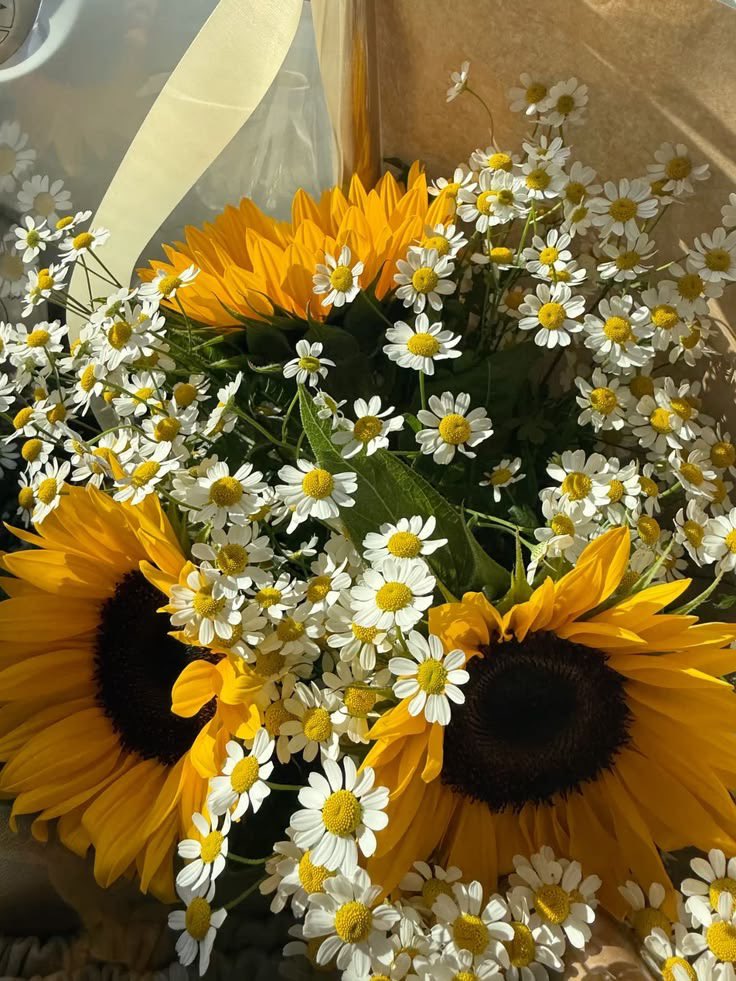 sunflowerchives's tweet photo. Sunflower and daisies https://t.co/r715r5lrfk