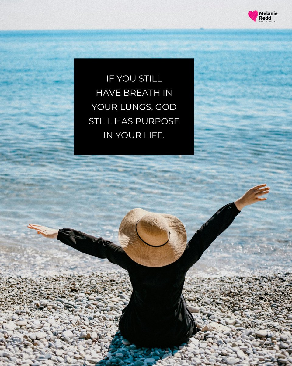 Melanie Redd tweet media