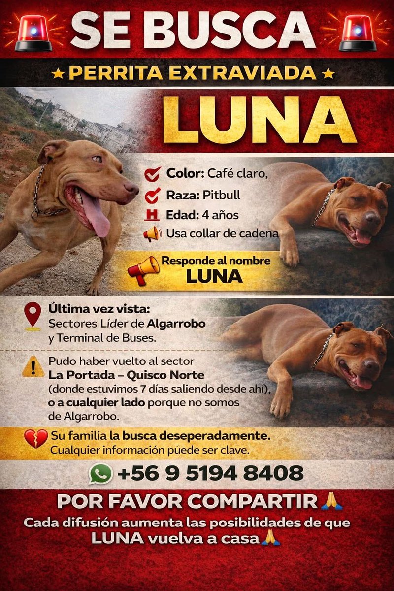 Brenda Etchegaray tweet media