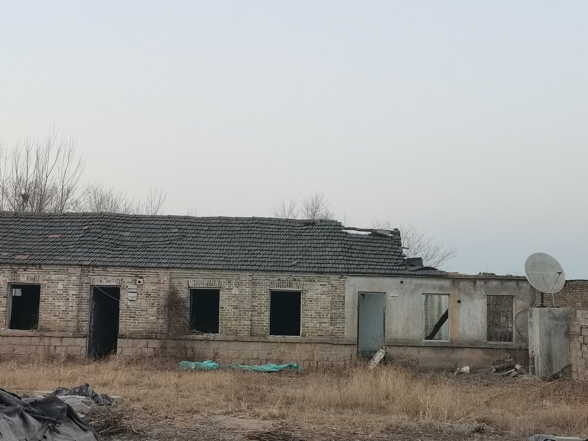 Fred（互fo） tweet media