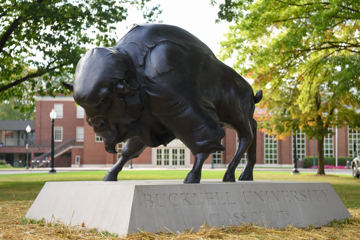 BSN SPORTS tweet media