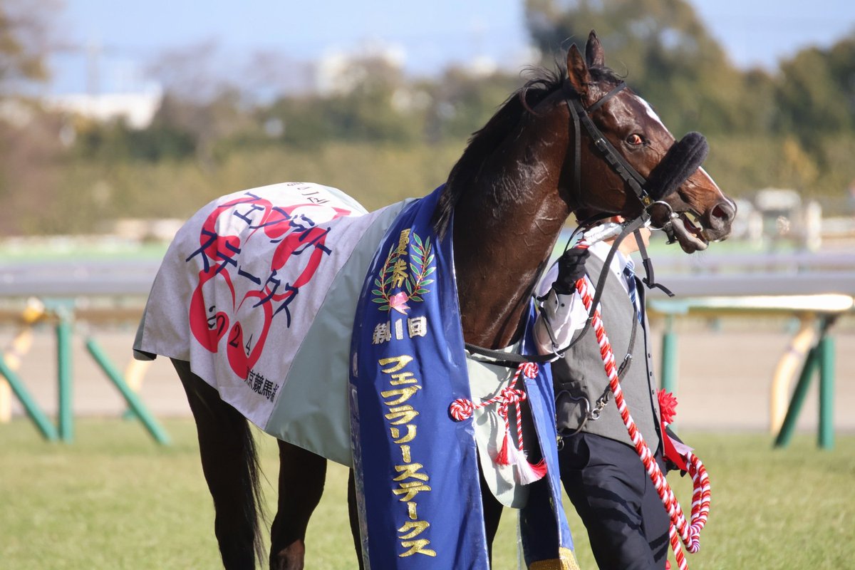 ホースレーシング　藤岡佑介　直筆サイン　ペプチドナイル 24フェブラリーS あのハイペース、先行勢で残り直線出の追い比べ
