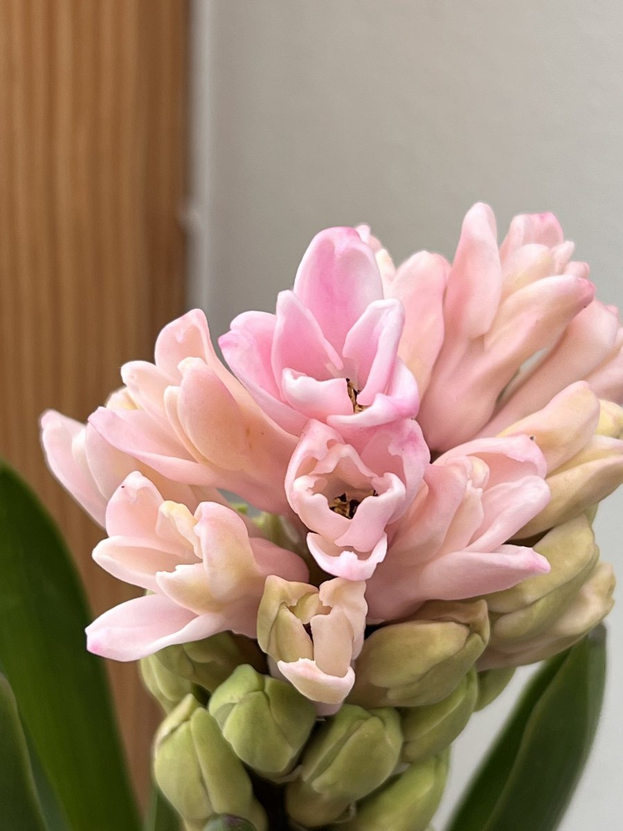 ця вітражниця tweet media