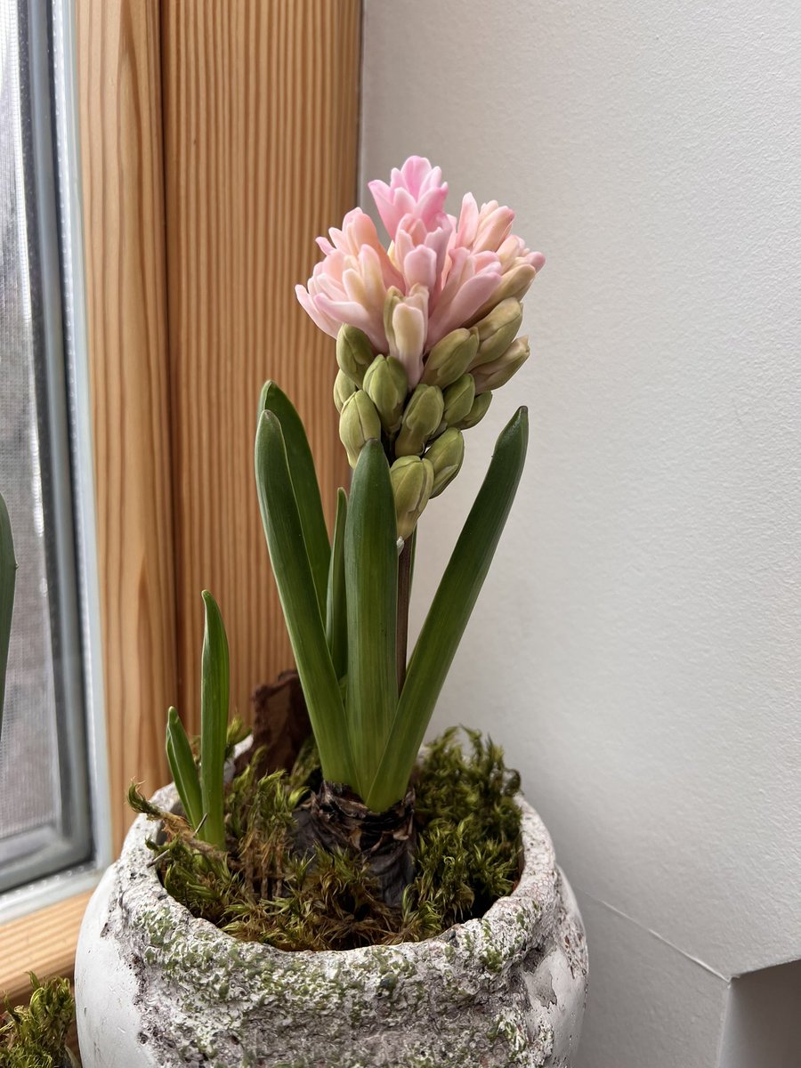 ця вітражниця tweet media