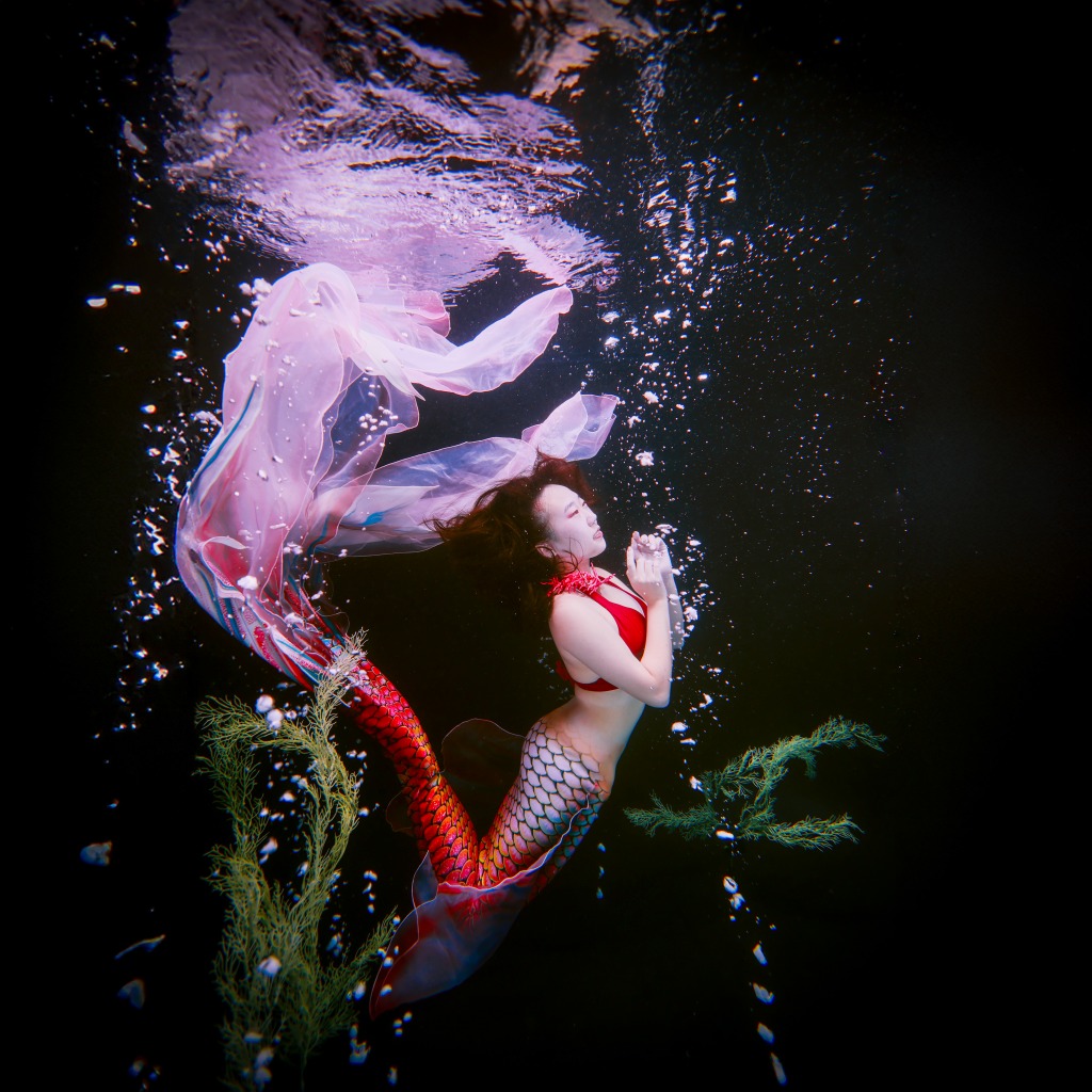 海卯@人魚 tweet media