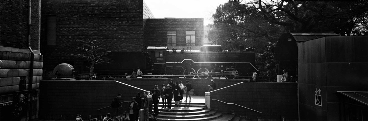 モノクロフィルムで撮影した、中判フィルム617判横位置パノラマ写真