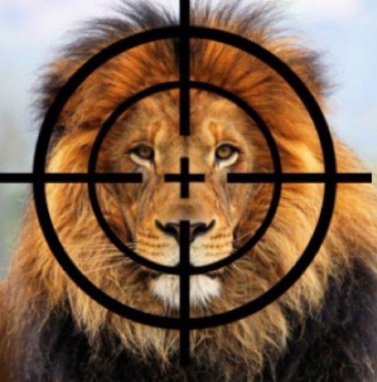 Would you support a WORLDWIDE BAN on #TrophyHunting?

#BanTrophyHunting NOW!