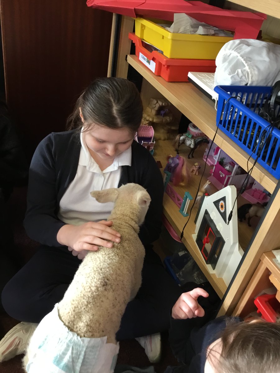 Rothiemay Primary School tweet media