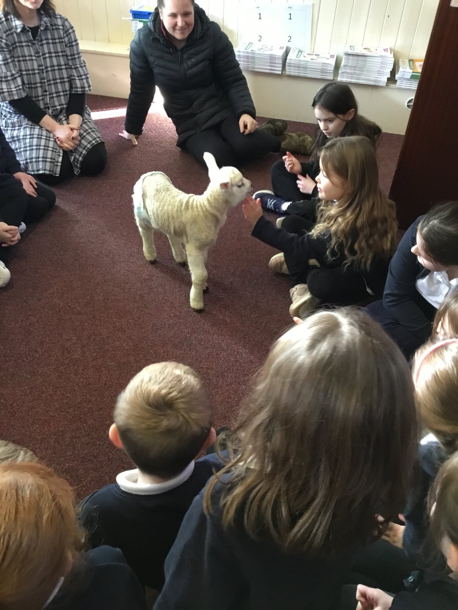 Rothiemay Primary School tweet media