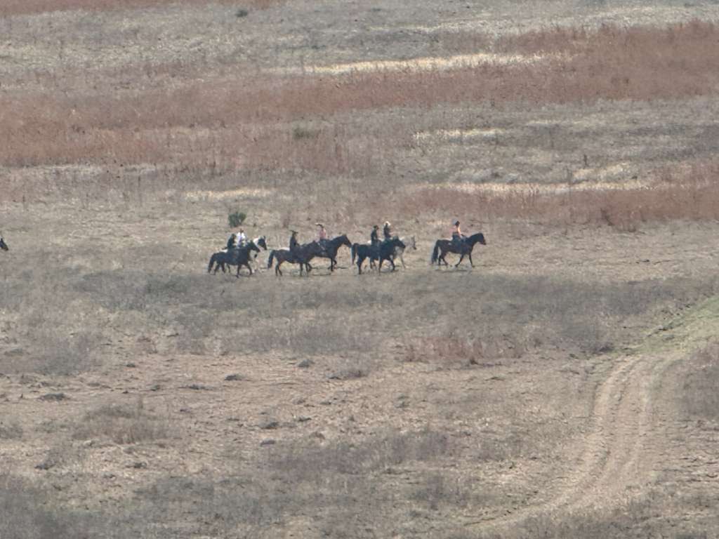 ĊṛÿṗẗöḄïḷḷÿ tweet media