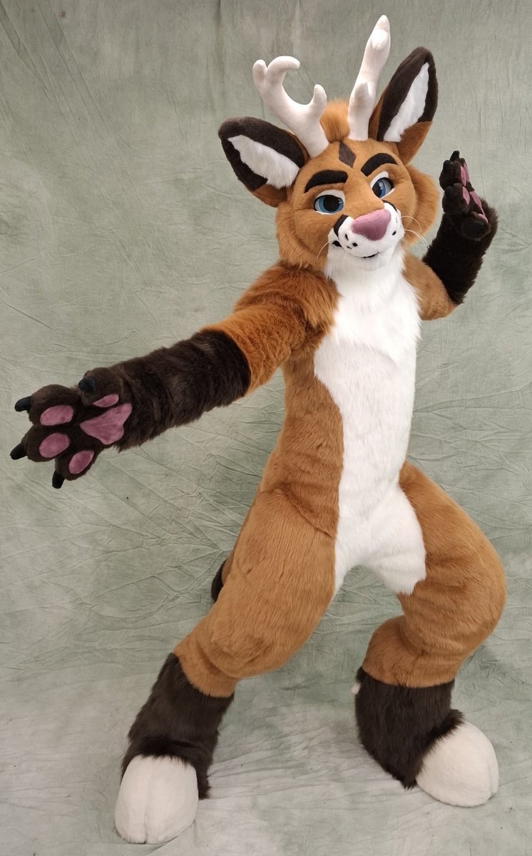 TheKareliaFursuits 🔜 EF tweet media