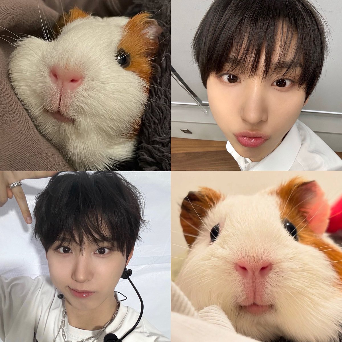 쭈방장🍜 tweet media