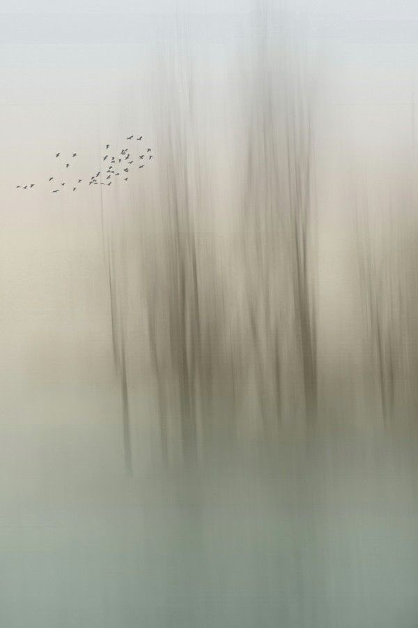 Gitana1369877's tweet photo. "If you realize that all things change, there is nothing you will try to hold on to."
— Lao Tzu https://t.co/GbE0aa0zZp