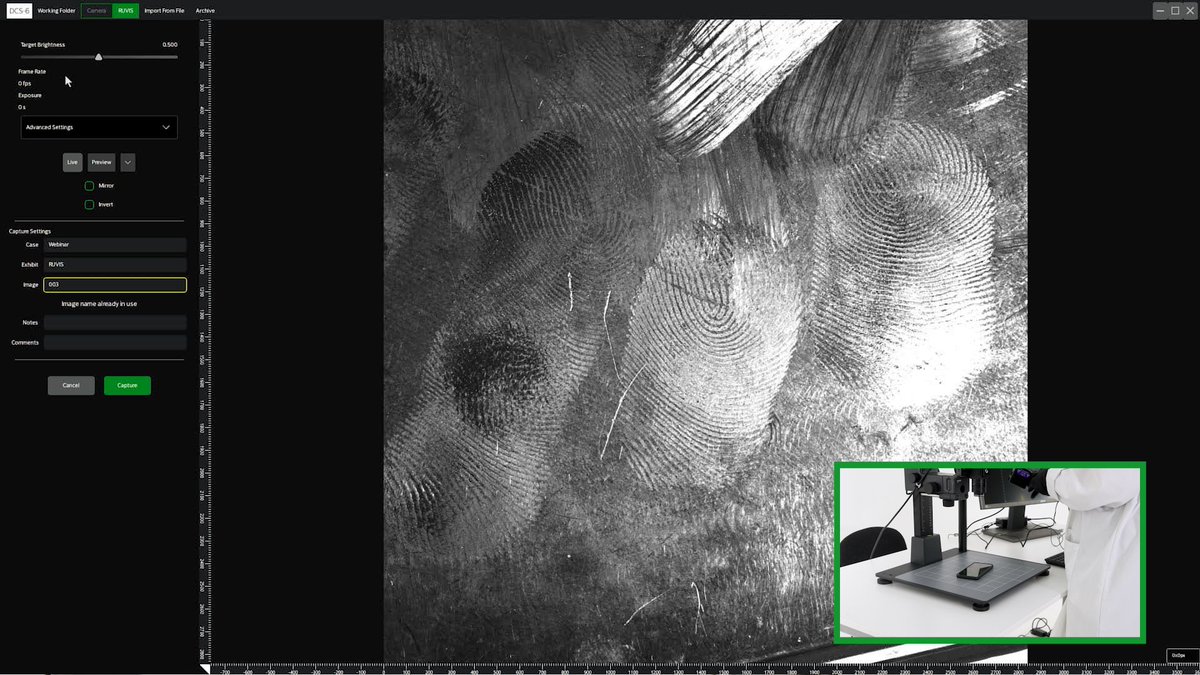 foster + freeman tweet media