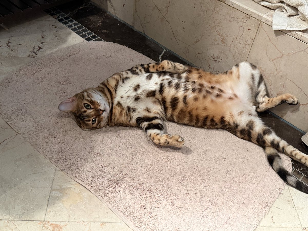 陈一发儿 tweet media