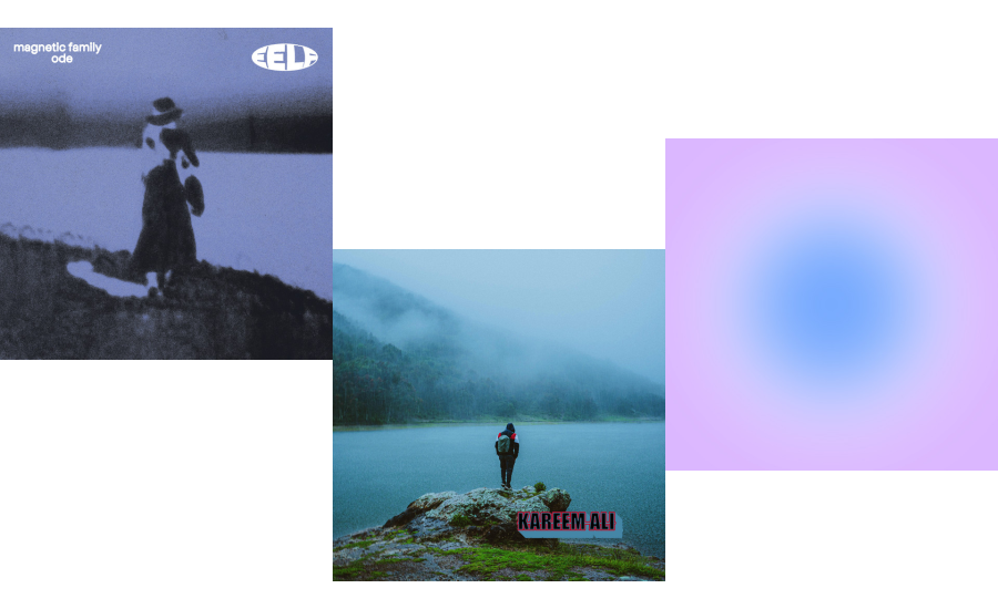 David Porter tweet media