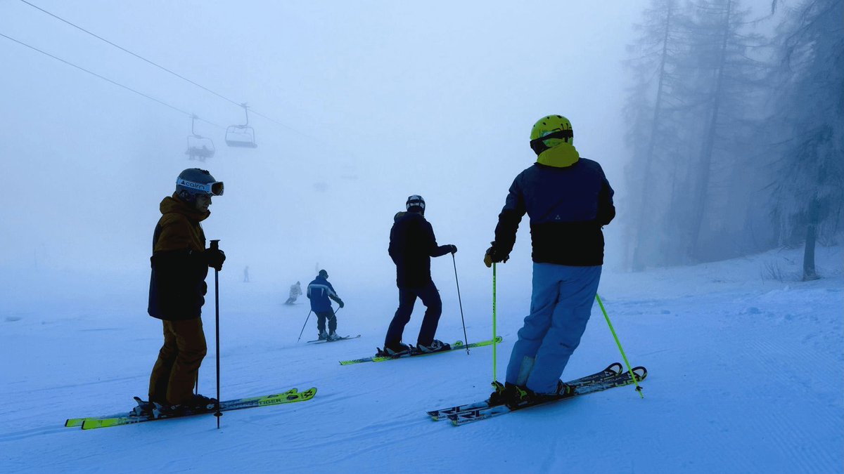 Allergy Force tweet media