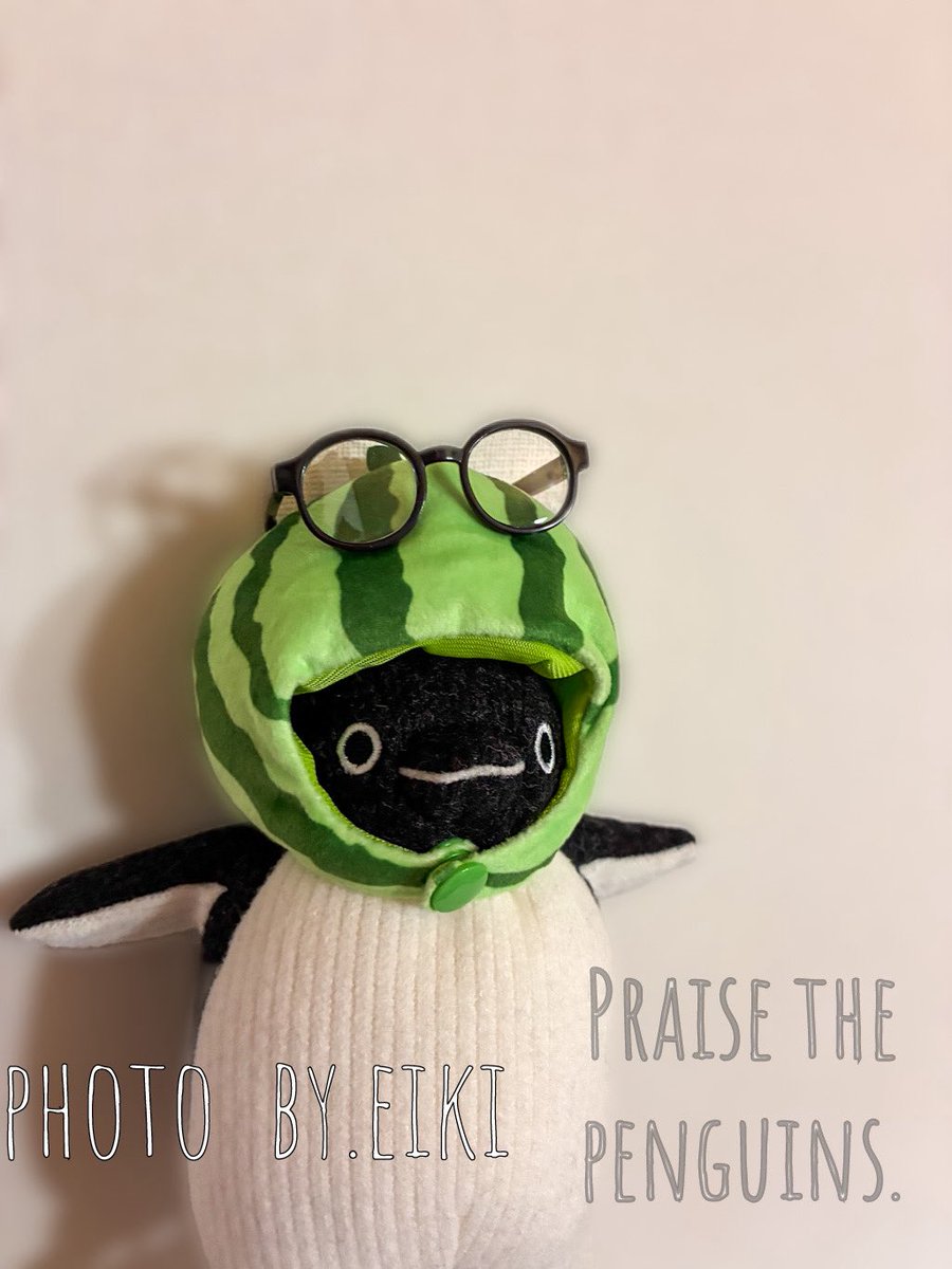 Shelly Coco (@Shelly_Coco_) / Posts / X