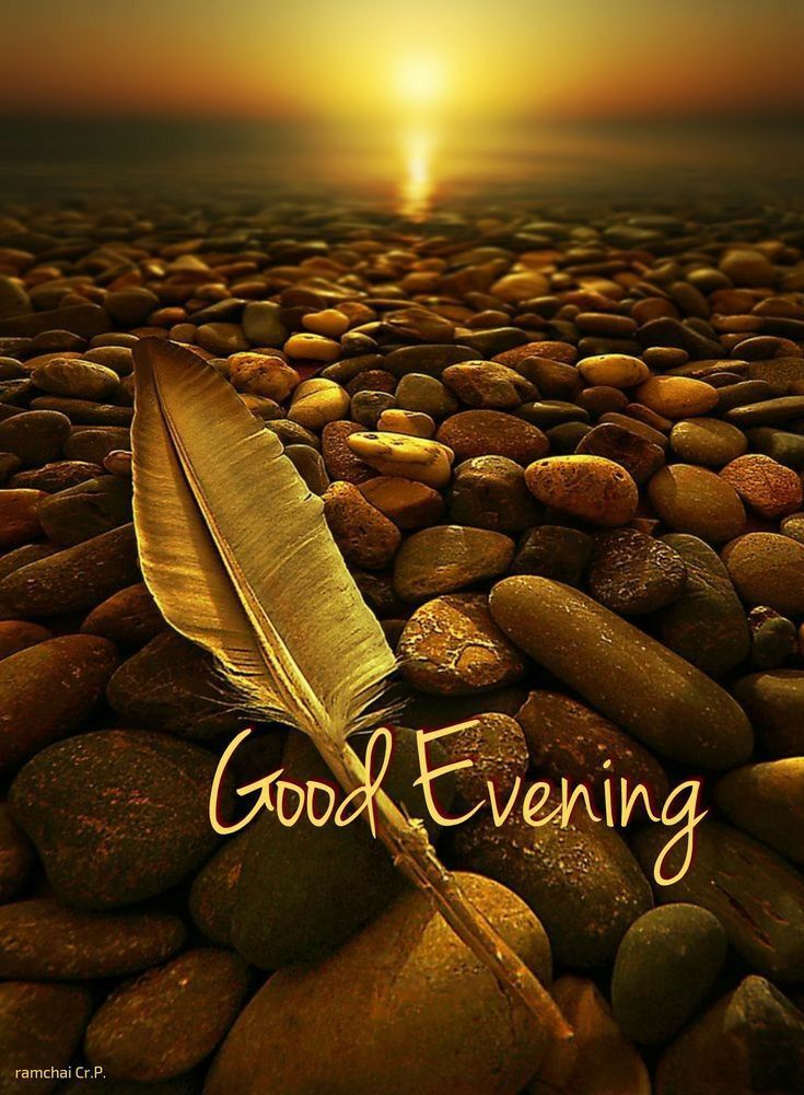 Ibrahimrealx's tweet photo. Good evening dear fm ❤️❤️ https://t.co/WR1gGcDb9a