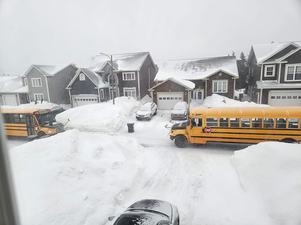 bharrishabs's tweet photo. The wonderful City of St. John's, five days after a major snow storm. School buses unable to pass each other in Southlands, and one in reverse. #cbcnl #NTVNews #vocm #nlschools https://t.co/6DmsP1Prbs