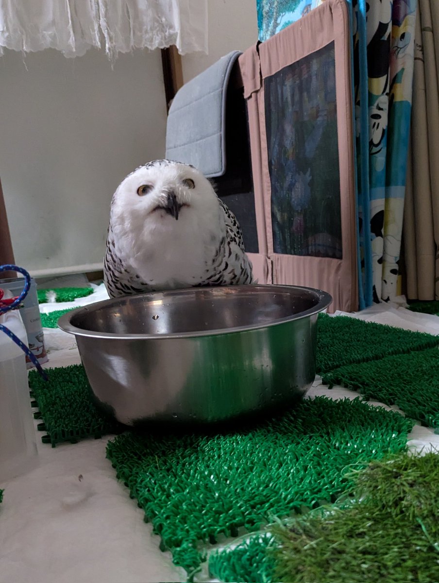 美味しいですか〜？