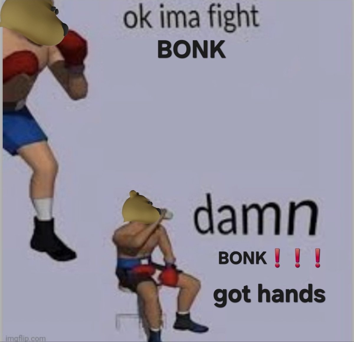 TONIC the Bonk Dog tweet media