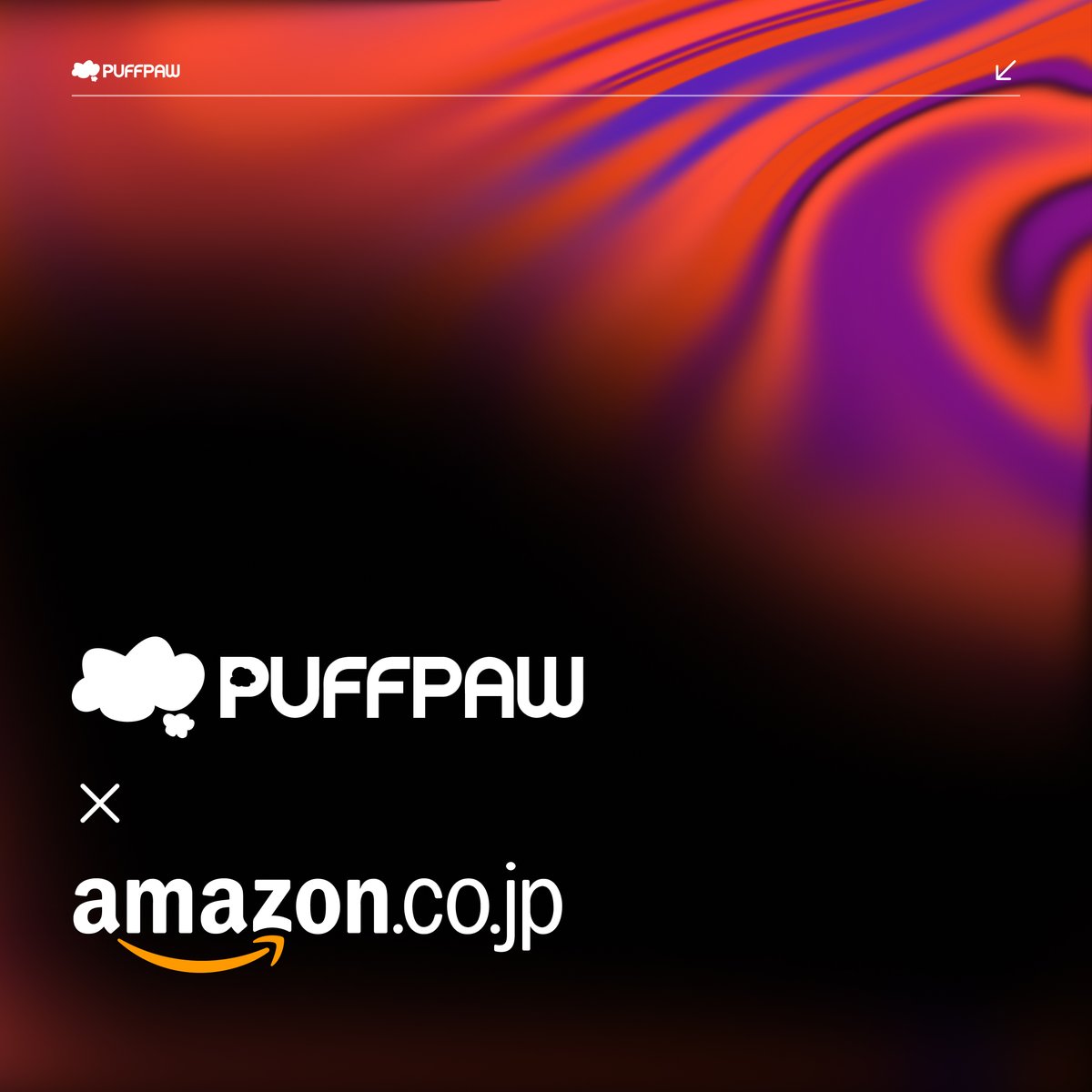 Puffpaw is now available on Amazon Japan <a href="/AmazonJP/">Amazon.co.jp (アマゾンジャパン)</a> 

amazon.co.jp/dp/B0G3PBKTPZ
amazon.co.jp/dp/B0G341BTJZ?…

We only serve non-nicotine product in Japan to incentivize 20 million Japanese smokers to quit nicotine.