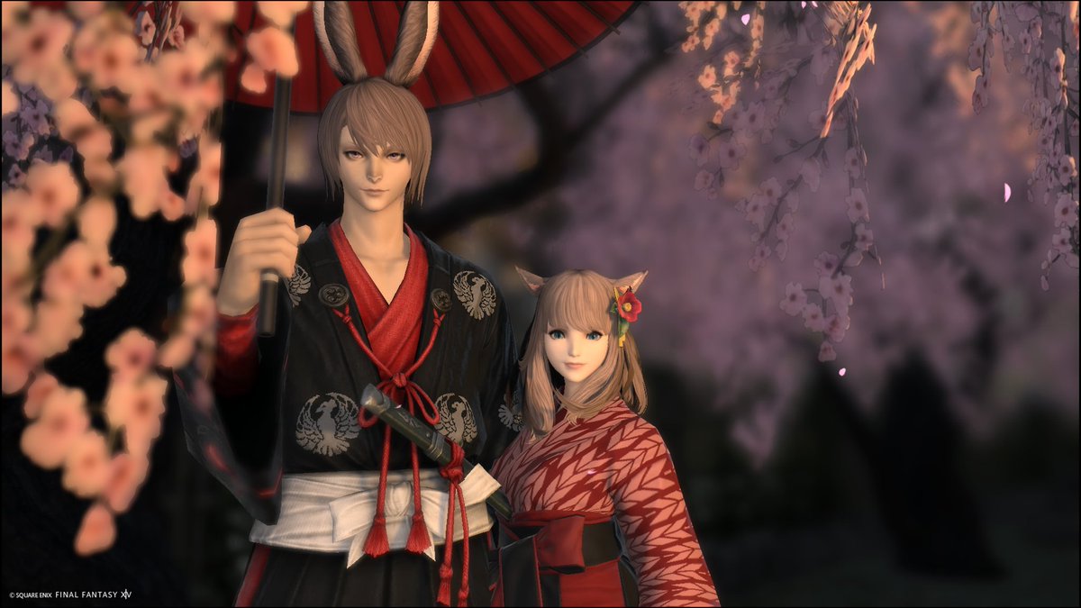 🐇⸒⸒🐈‍⬛ ͗🌸