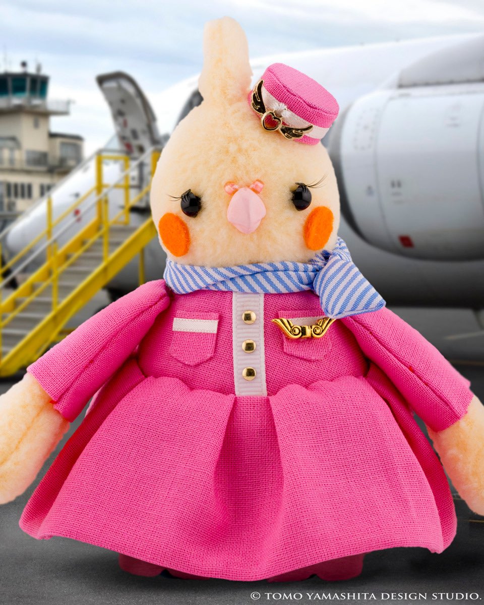 オカメエアラインの新しいCAオカメ娘ちゃん。朝一便担当のサンライズフライトさんはピンク色の制服で元気に出発準備中です✨
#鳥フェス水戸
#オカメ娘
#オカメインコ