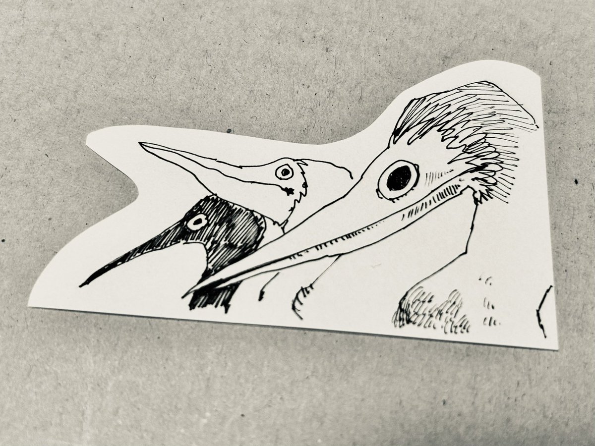 オオタケ tweet media