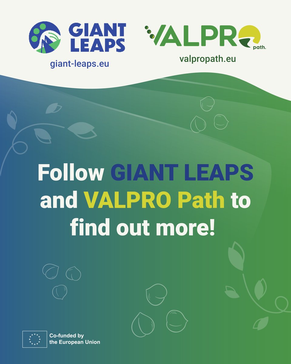 VALPRO Path tweet media