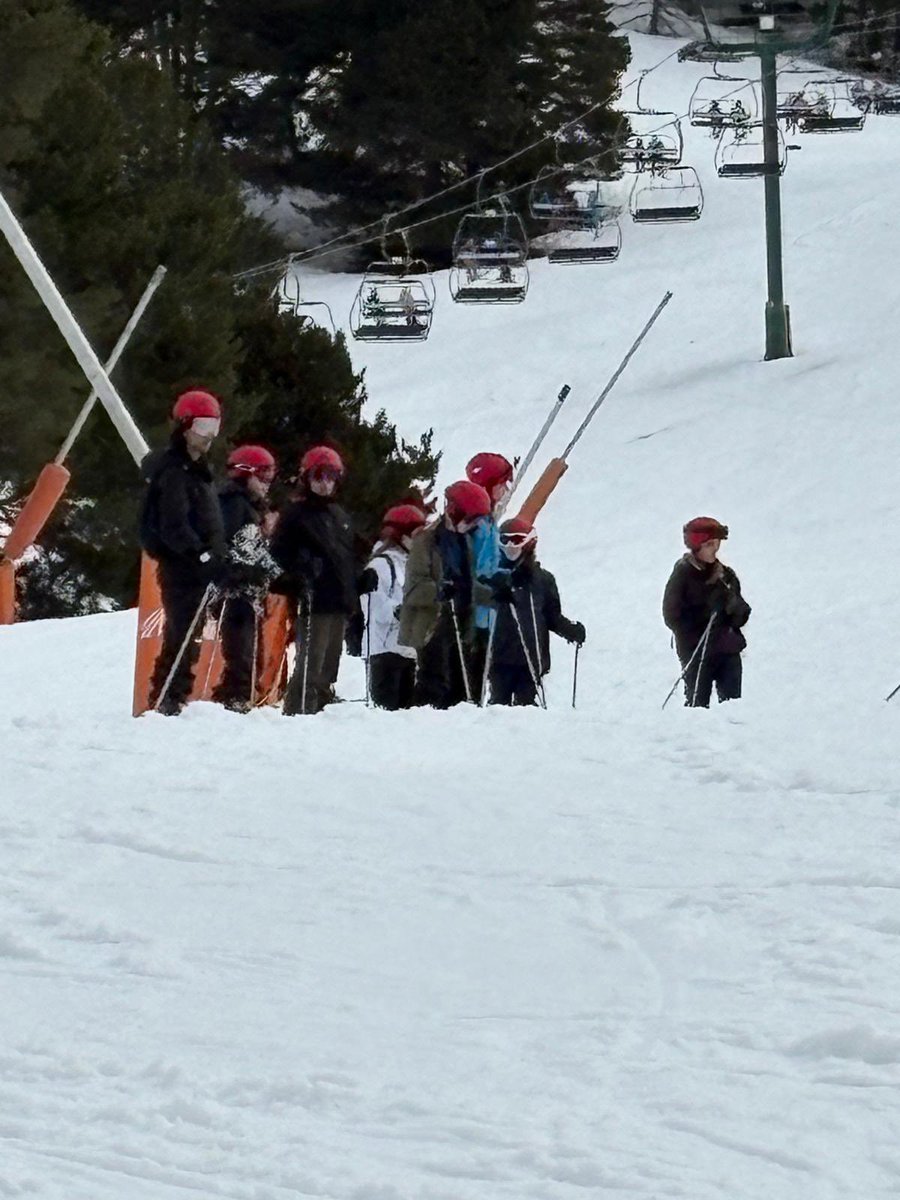 Alexandra Park School tweet media