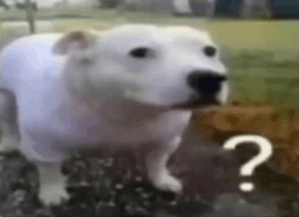 Azur Lane Anonymous tweet media