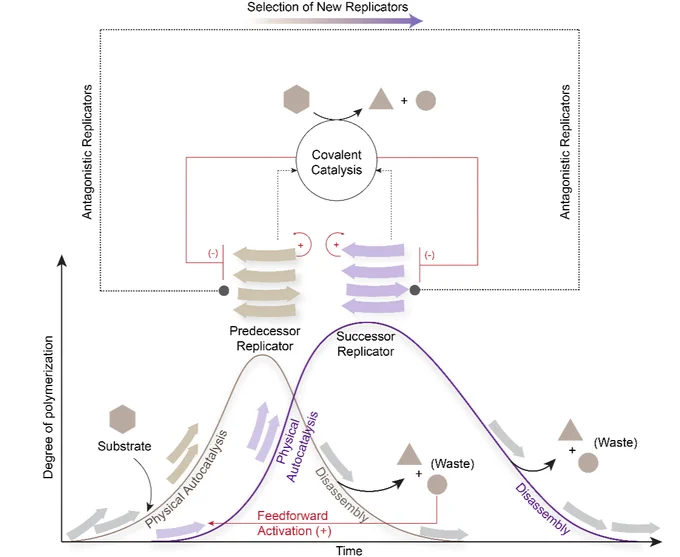Image from Dibyendu Das (@DDasLab)