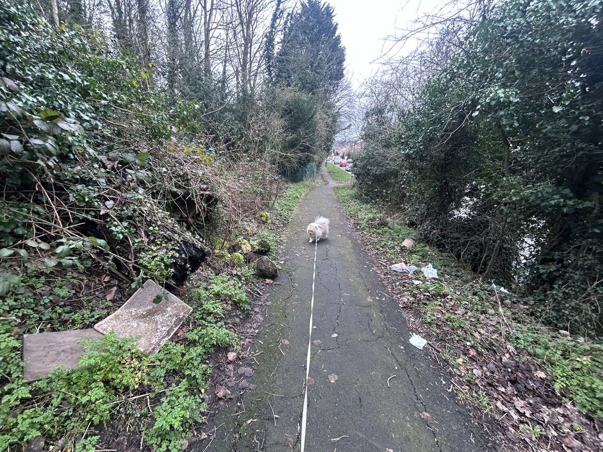 Kat Anderson tweet media