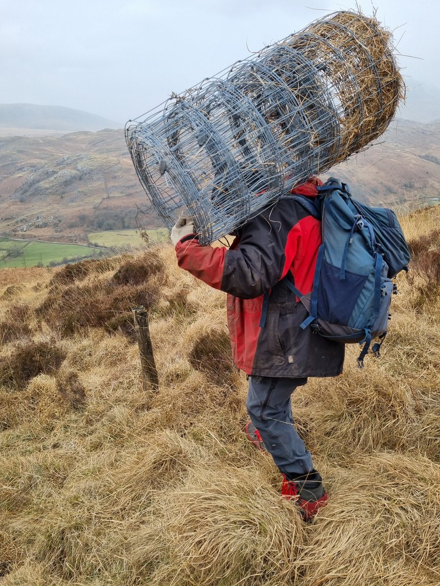 Restoring Hardknott Forest tweet media