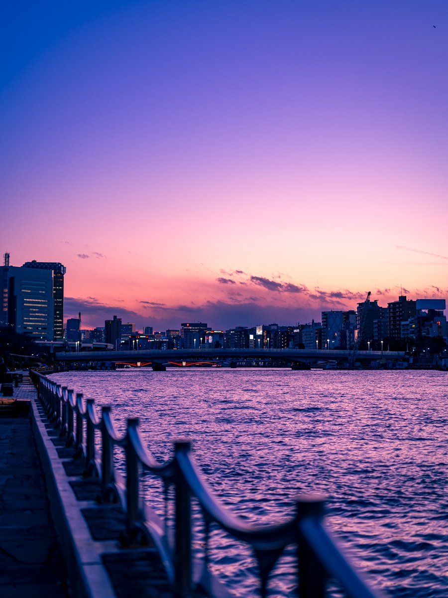 またたびV3 tweet media