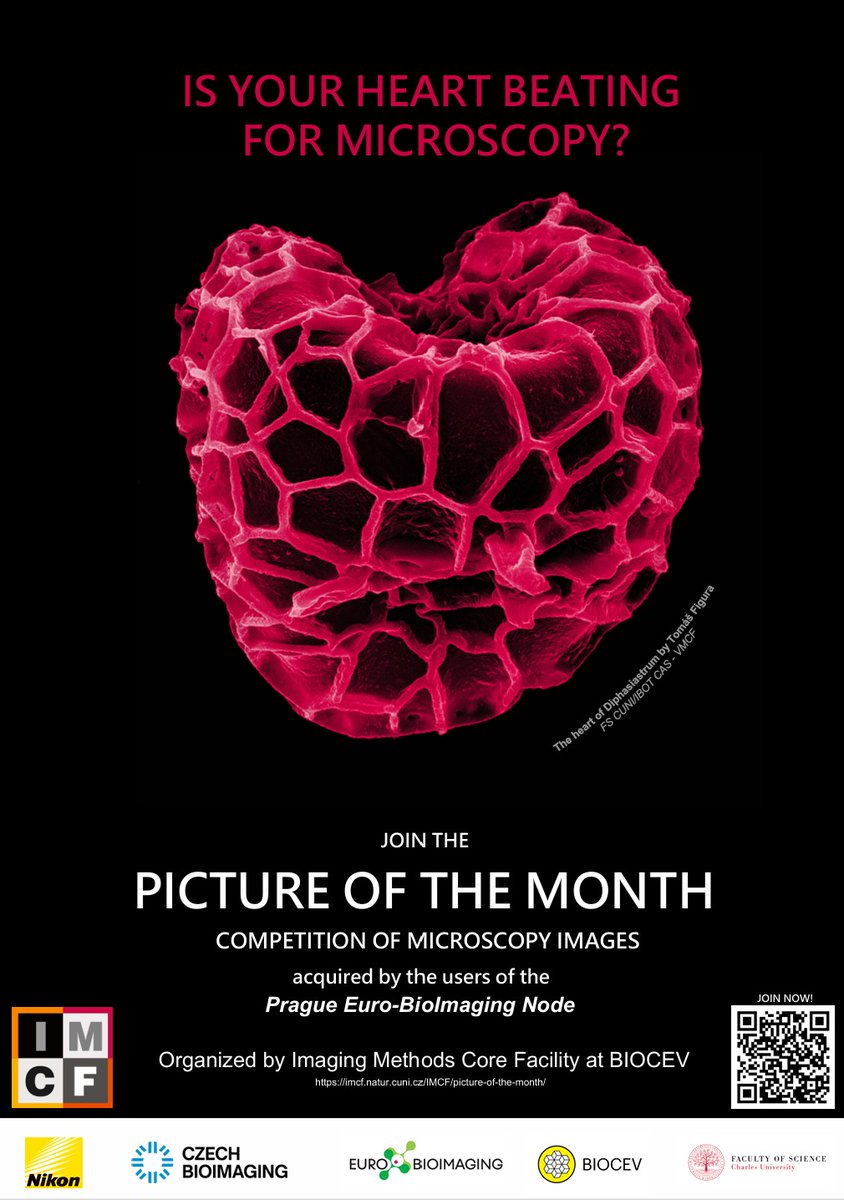 Imaging Methods Core Facility at BIOCEV tweet media