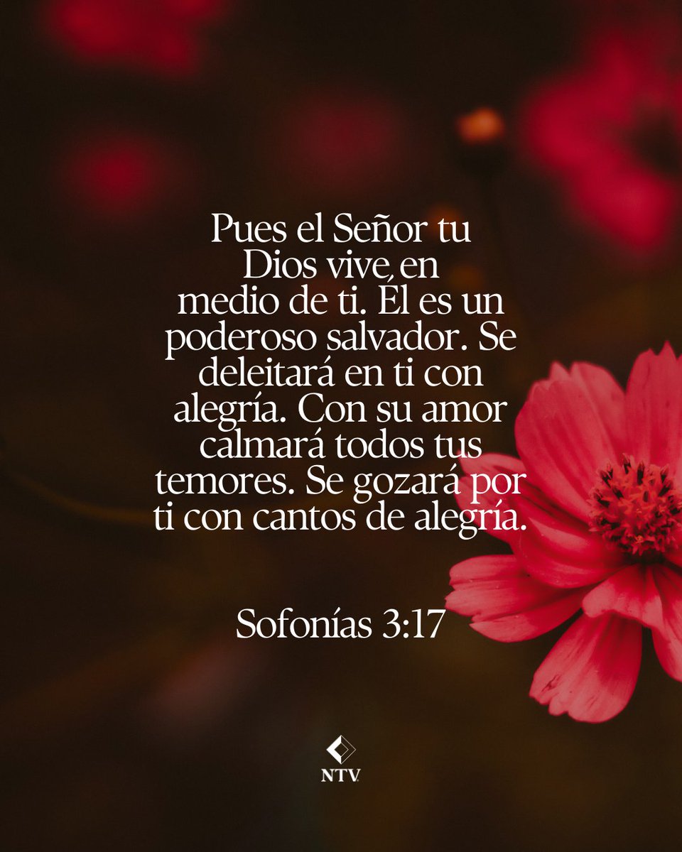 La Biblia muestra a un Dios cercano que se goza en su pueblo. Este versículo bíblico nos recuerda que Dios no solo nos ama, sino que se deleita en nosotros con alegría.

#AmordeDios #Biblia #NTV #versiculos #Jesus
