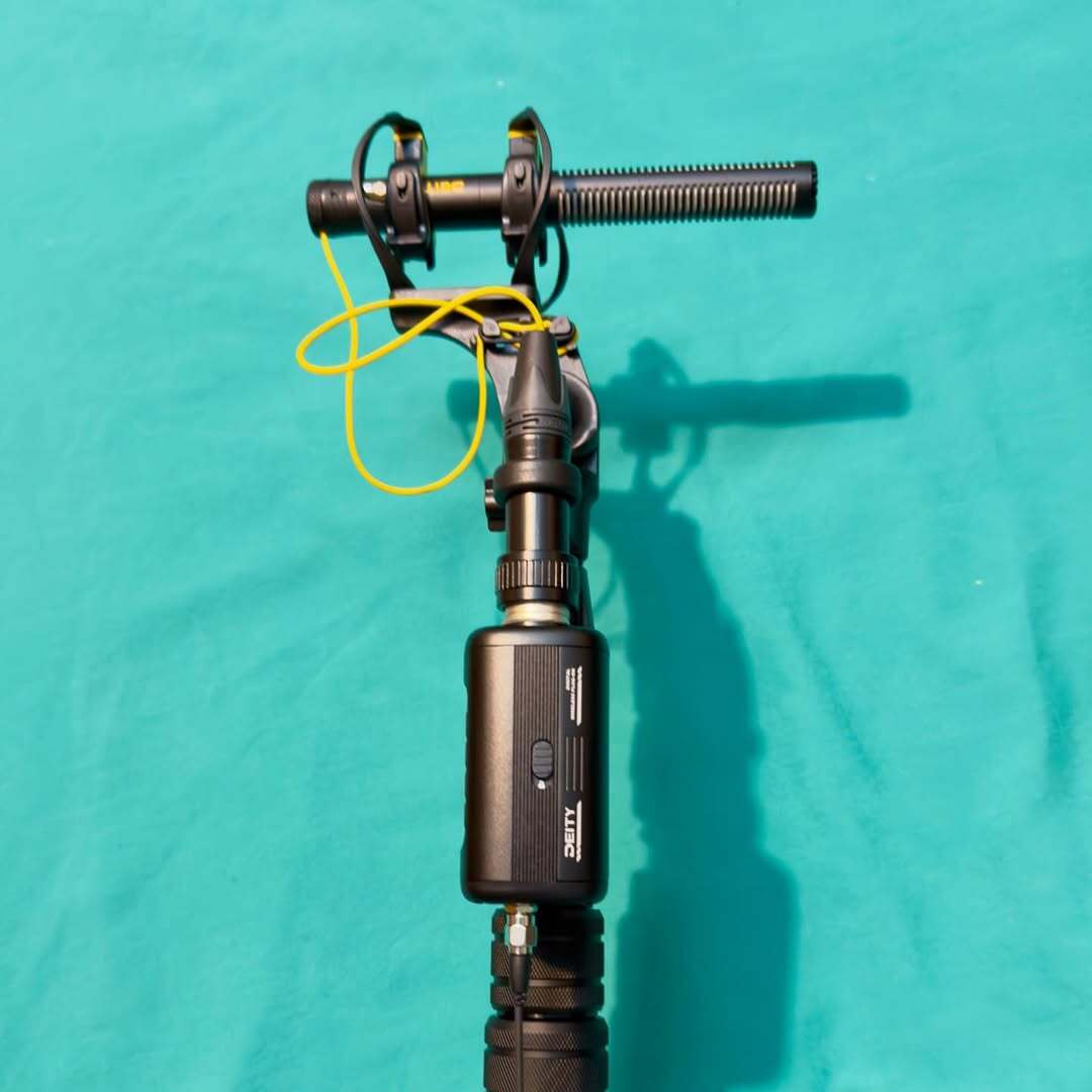 Deity Microphones 🎙️ tweet media