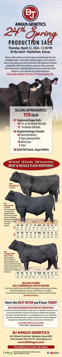 TheStockExchang's tweet photo. BJ Angus: Bulls &amp; Bred Coml Females &amp; a Buy-Back Program https://t.co/wBo1G34Dtn https://t.co/eSGcJRkXWt