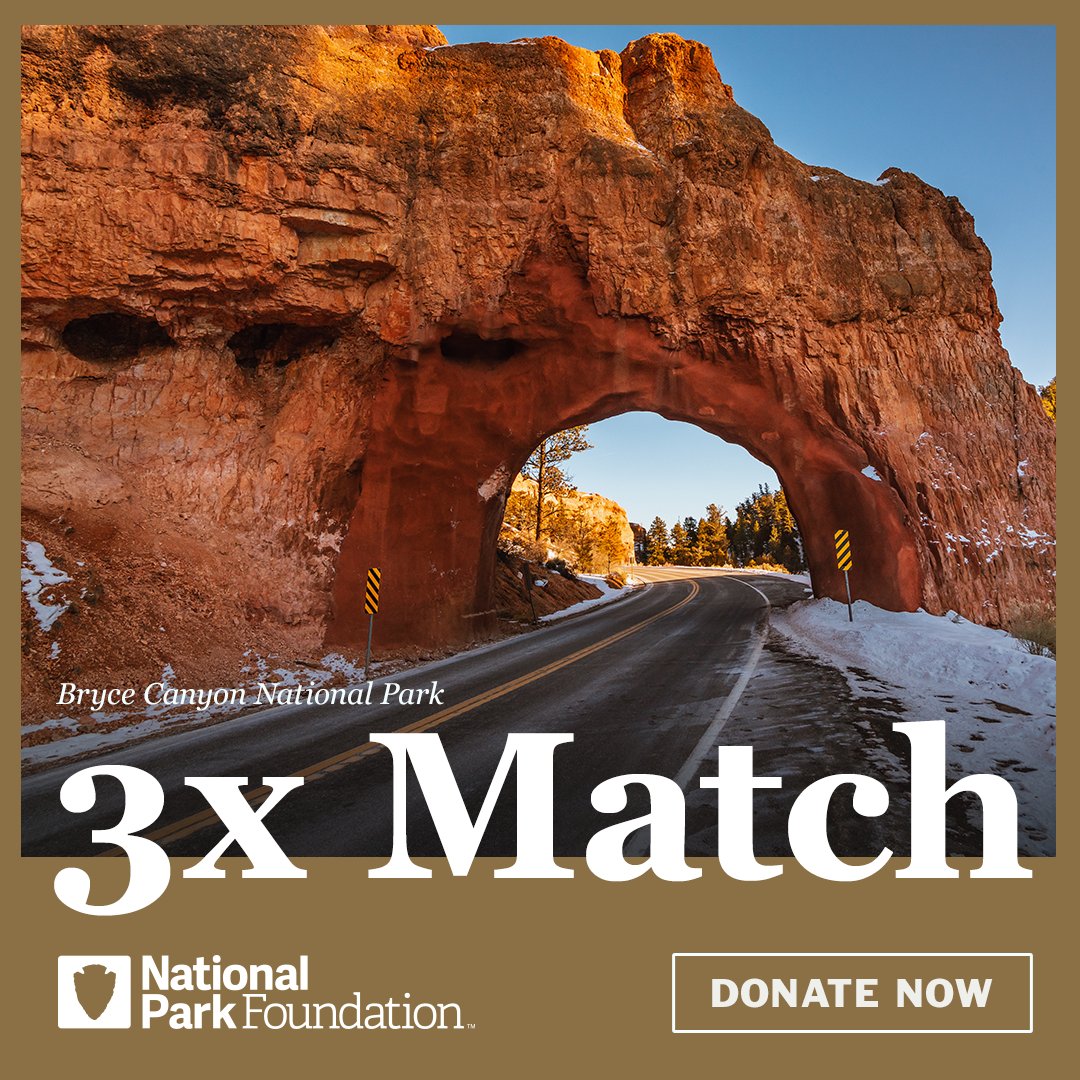 Forbright Bank tweet media