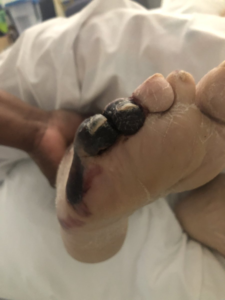 Claire Goodwin-Fee tweet media