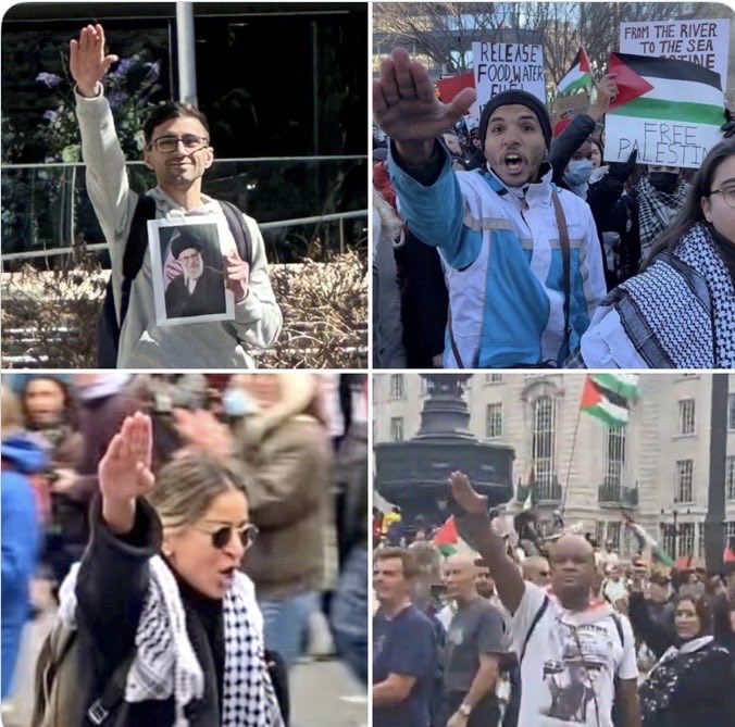 Le petit écureil tweet media