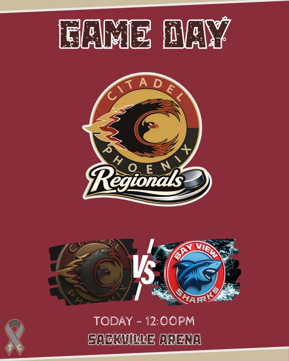 Citadel Boys Hockey tweet media