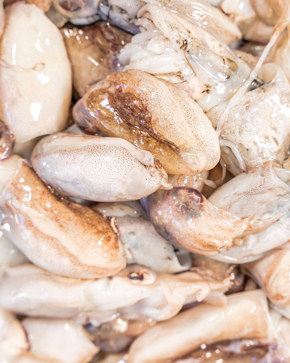 TOC AL MAR tweet media