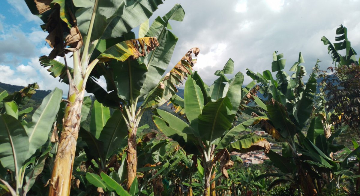 RGS-IBG Higher Ed tweet media