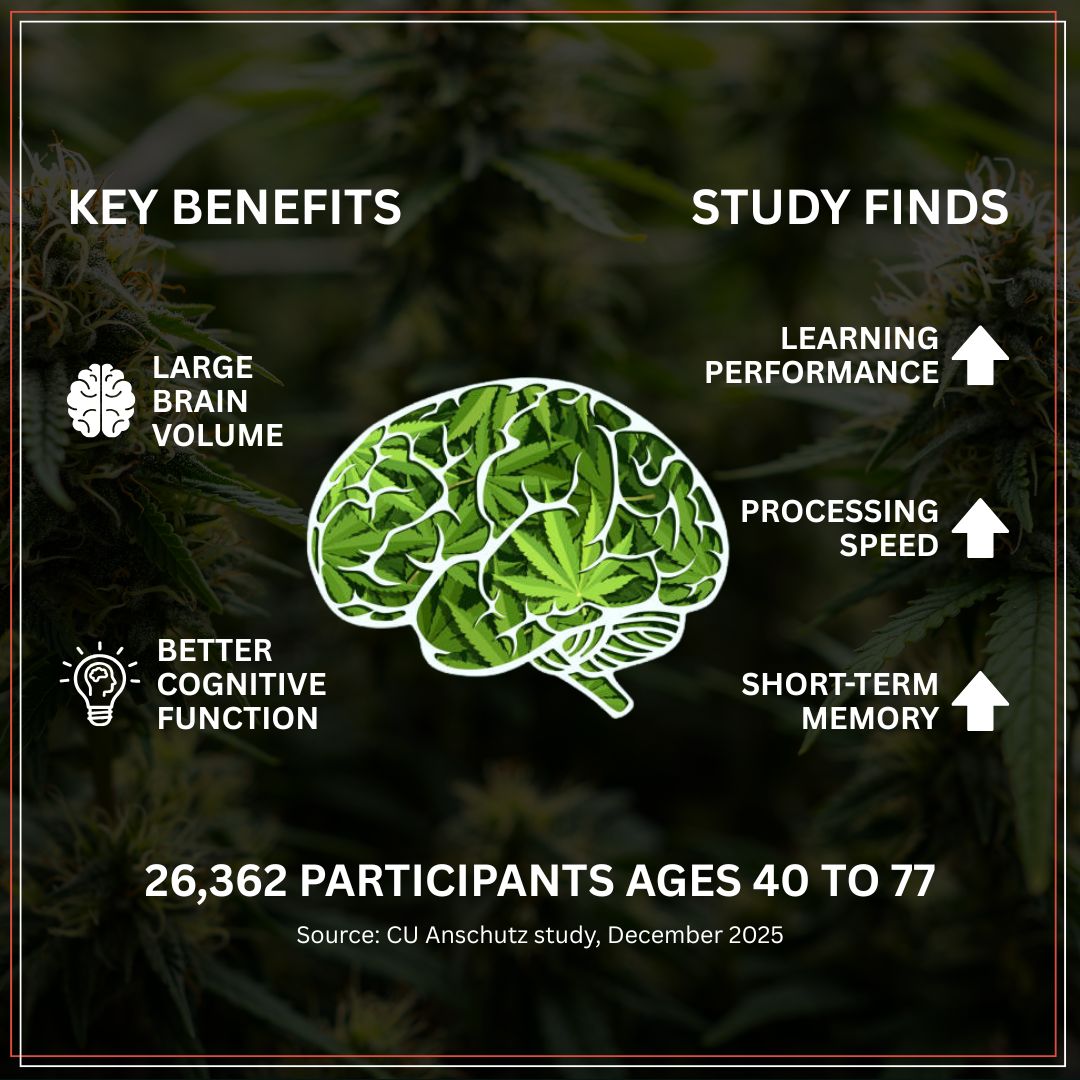 Herbal Dispatch (CSE: $HERB | OTC:$LUFFF FRA:$HA9) tweet media