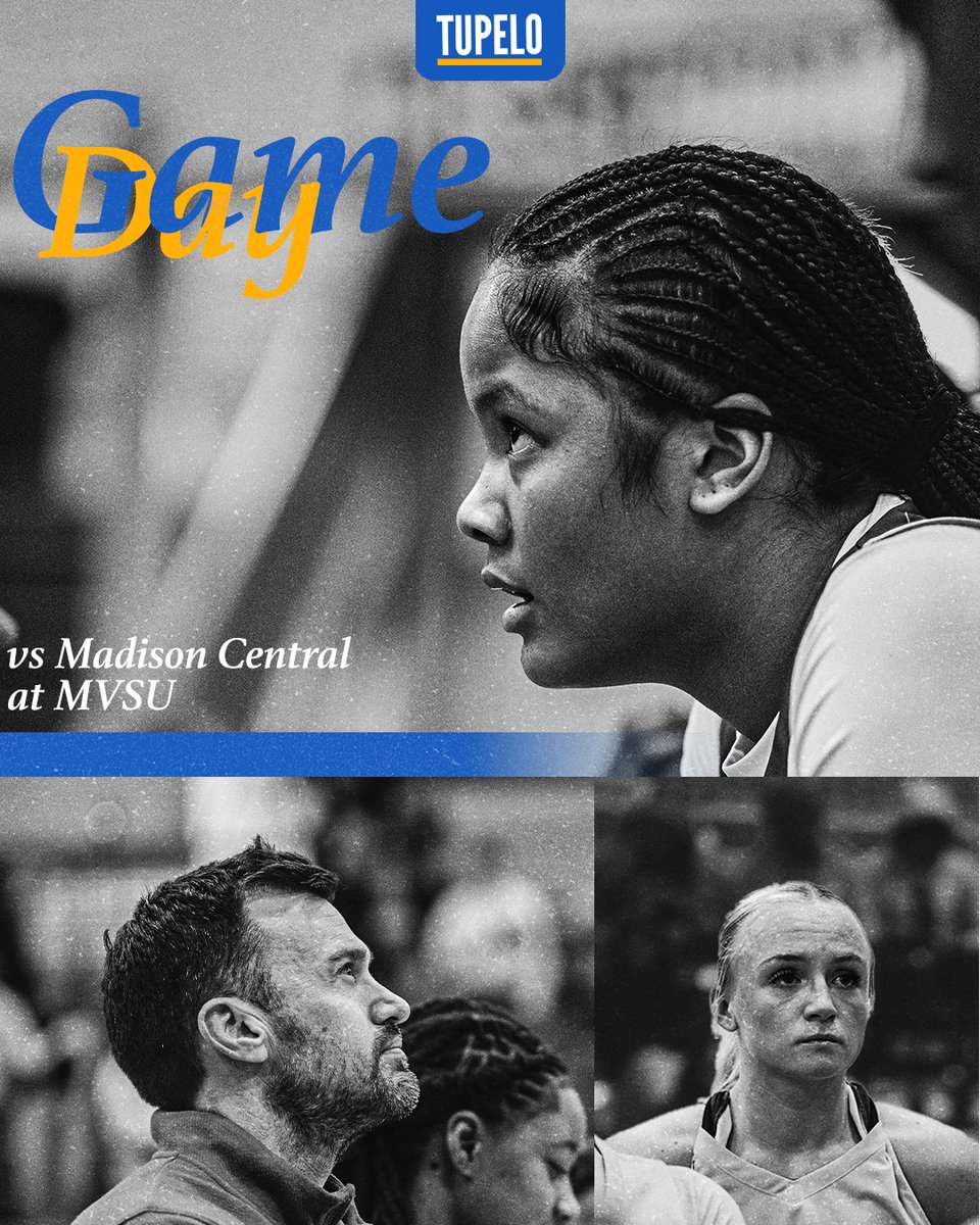 Lady Wave Basketball tweet media